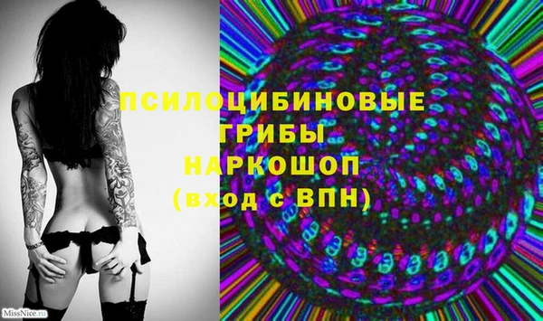 дмт Алзамай