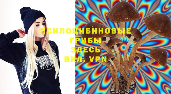 дмт Алзамай